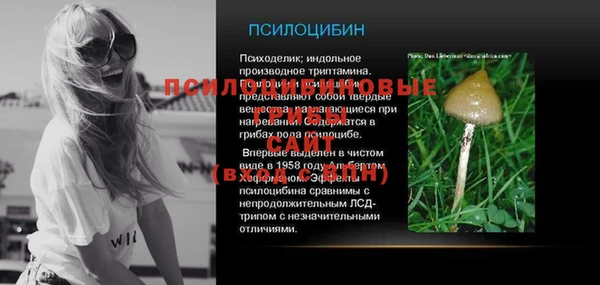 трава Дмитриев