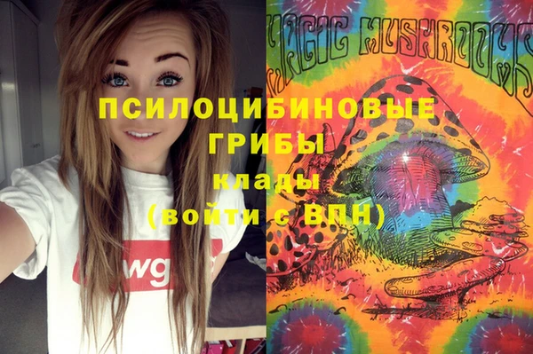 трава Дмитриев