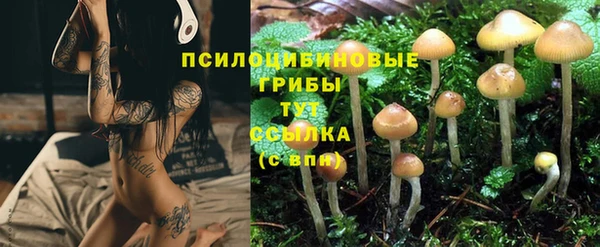спайс Дмитровск