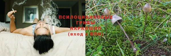 трава Дмитриев