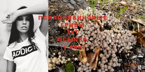 mdma Дмитров