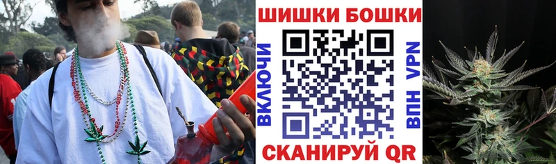 Купить где  Семёнов  Конопля ГИДРОПОН 